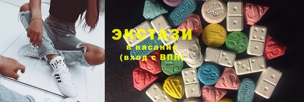 индика Гусиноозёрск