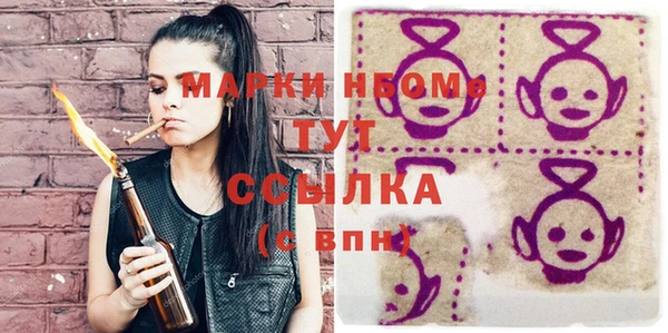 индика Гусиноозёрск