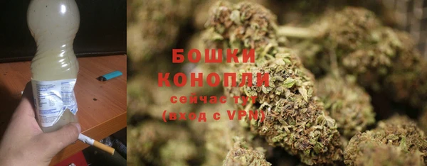 индика Гусиноозёрск