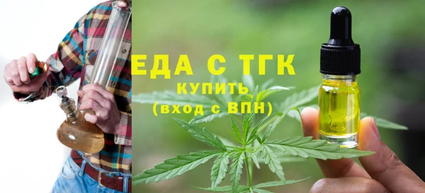 индика Гусиноозёрск