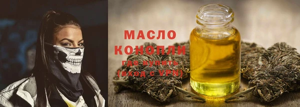 индика Гусиноозёрск