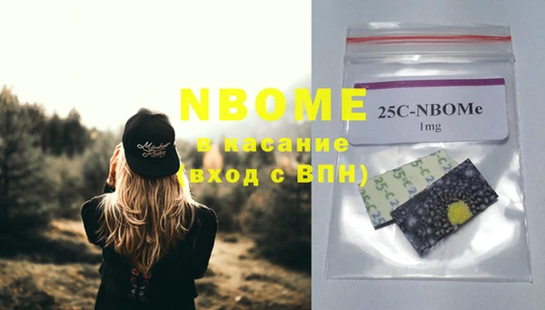 индика Гусиноозёрск