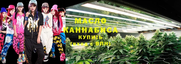 индика Гусиноозёрск