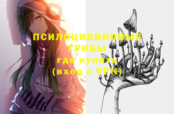 индика Гусиноозёрск