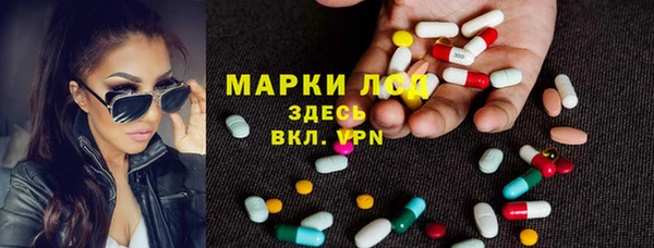 индика Гусиноозёрск
