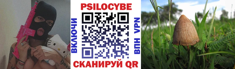 omg сайт  Осинники  Галлюциногенные грибы GOLDEN TEACHER 