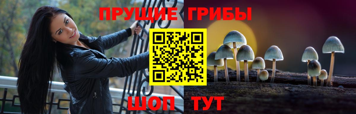 Галлюциногенные грибы мухоморы  Вход с VPN  Осинники 