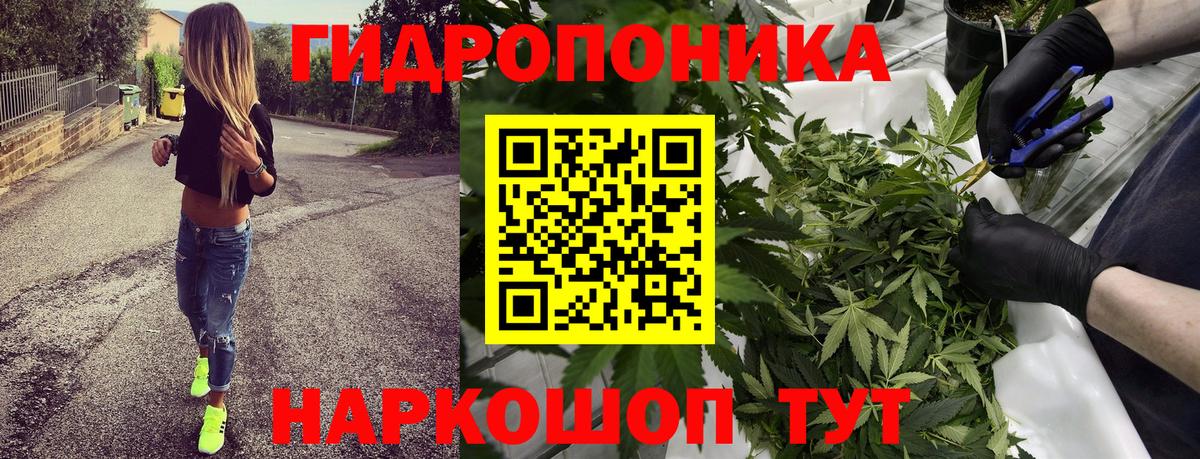 Шишки марихуана Bruce Banner  МАРИХУАНА конопля  Осинники  Вход с VPN  Бошки марихуана Ganja  Марихуана LSD WEED 